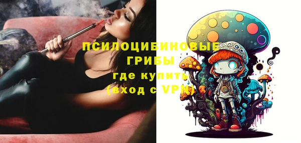 ПСИЛОЦИБИНОВЫЕ ГРИБЫ Алексеевка