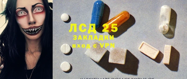 ПСИЛОЦИБИНОВЫЕ ГРИБЫ Алексеевка