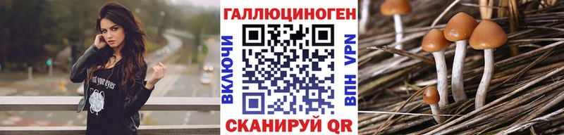 Галлюциногенные грибы Cubensis  Енисейск 